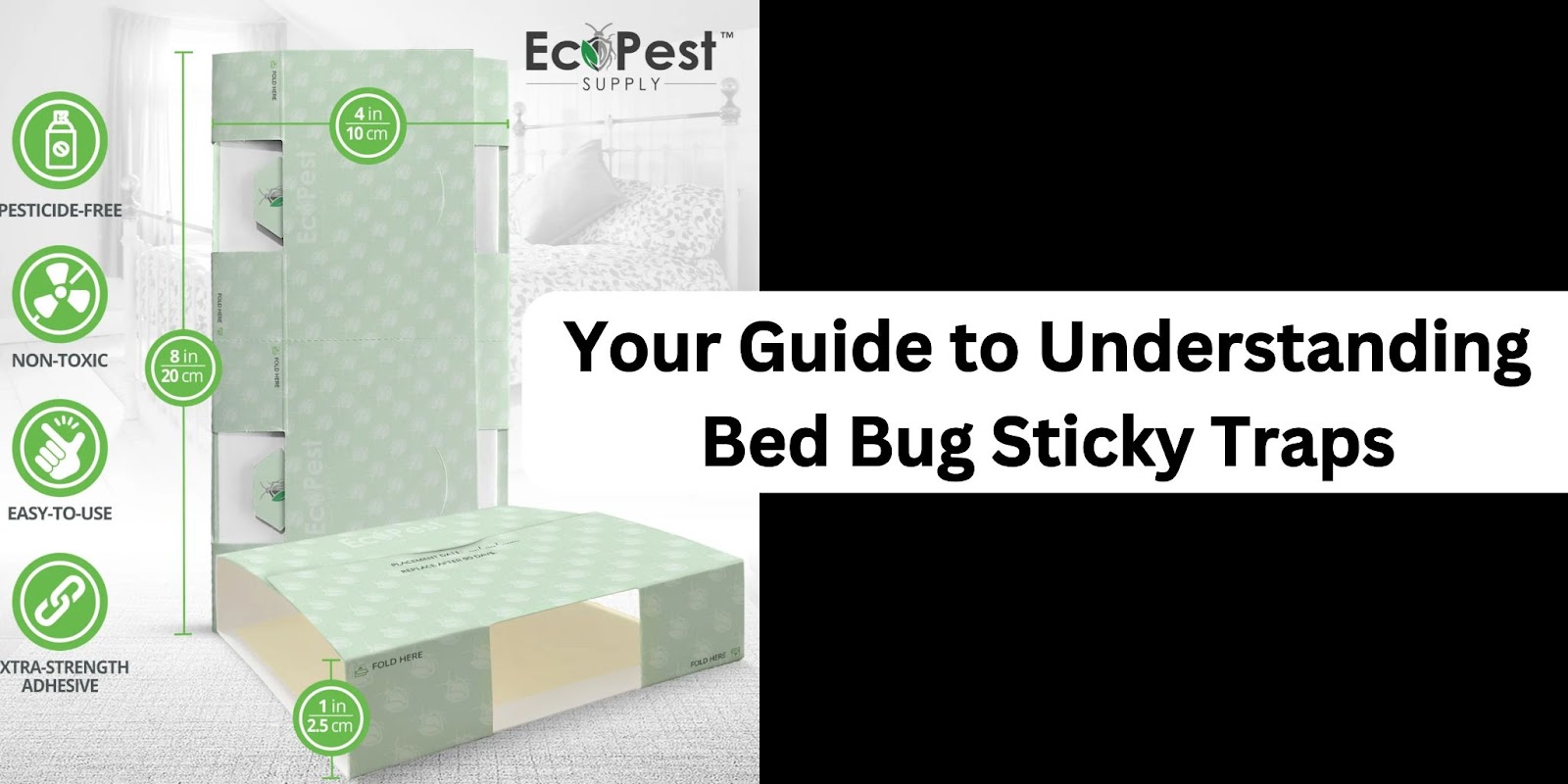 Your Guide to Understanding Bed Bug Sticky Traps Zupyak