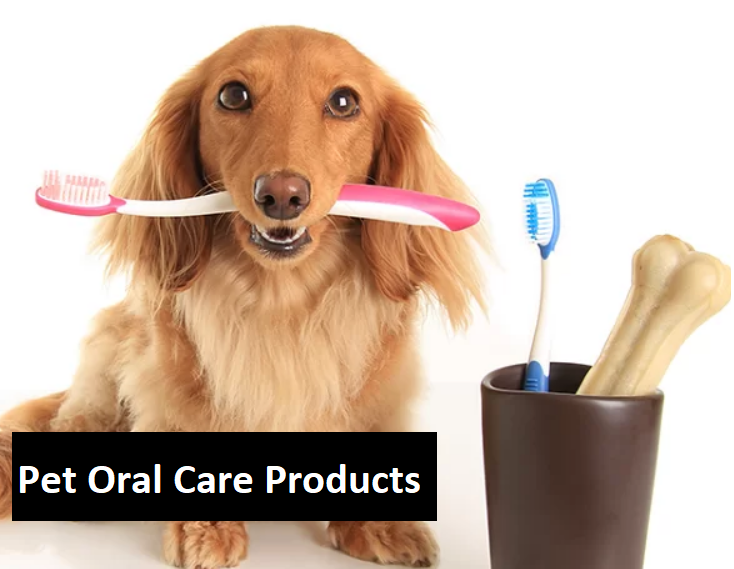 Pet Oral Care Products Market Demand Analysis, Statistics, Industry Trends And Investment Opportunities To 2028