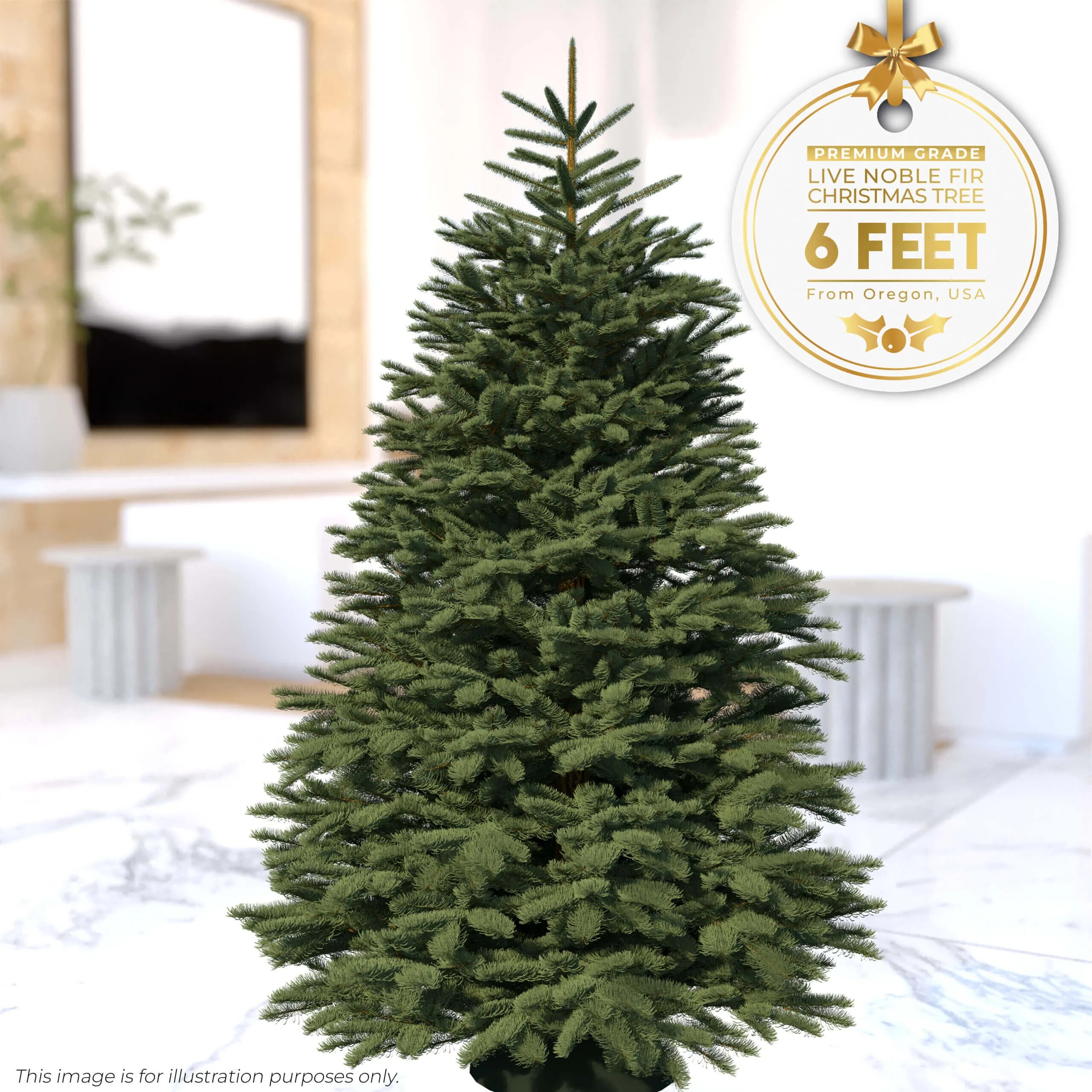Embrace the Holiday Spirit with a Fresh Christmas Tree for Your Home