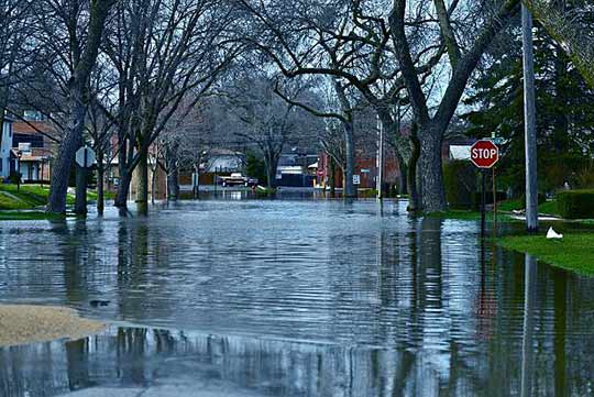 Exploring Budget-Friendly Flood Mitigation Strategies for Natural Disasters