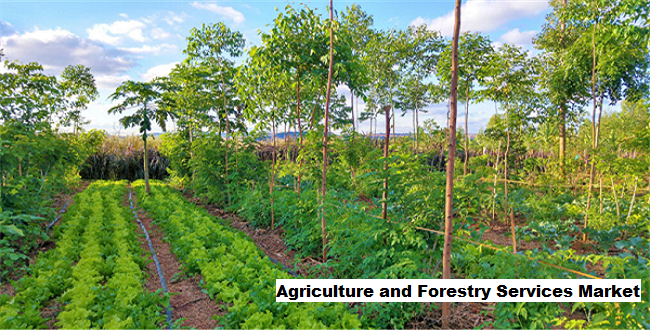 Agriculture And Forestry Services Market To Expand With Food Demand And Tech, 2026-2030