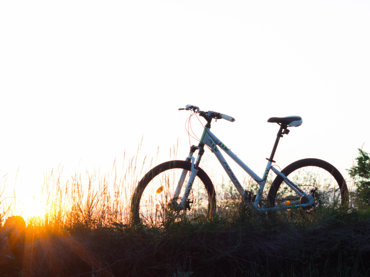 The 10 Best Most Comfortable Bike Seats of 2023