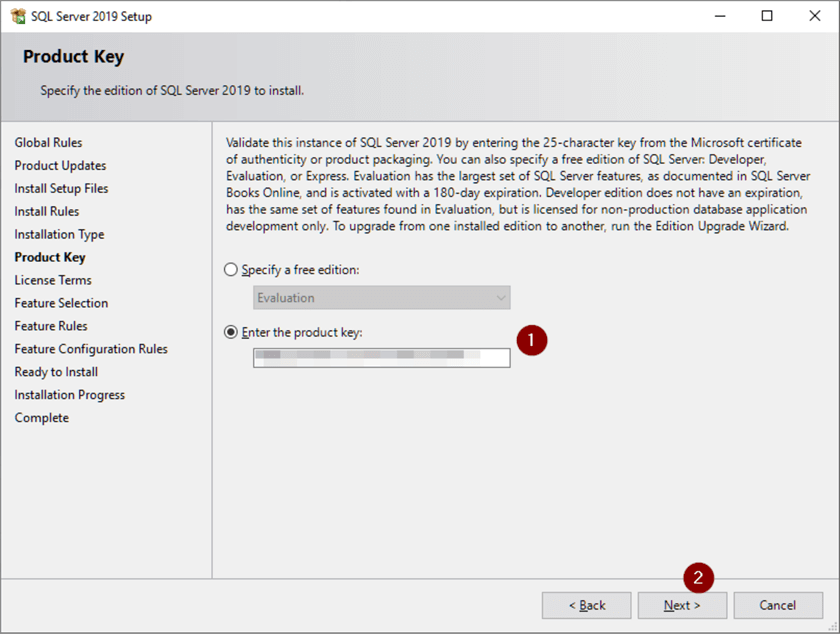 Download and Install SQL Server 2019 Standard Edition