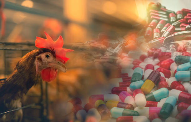The Poultry Antibiotic Market is Estimated To Witness High Growth Owing To Increased Animal Disease Prevalence