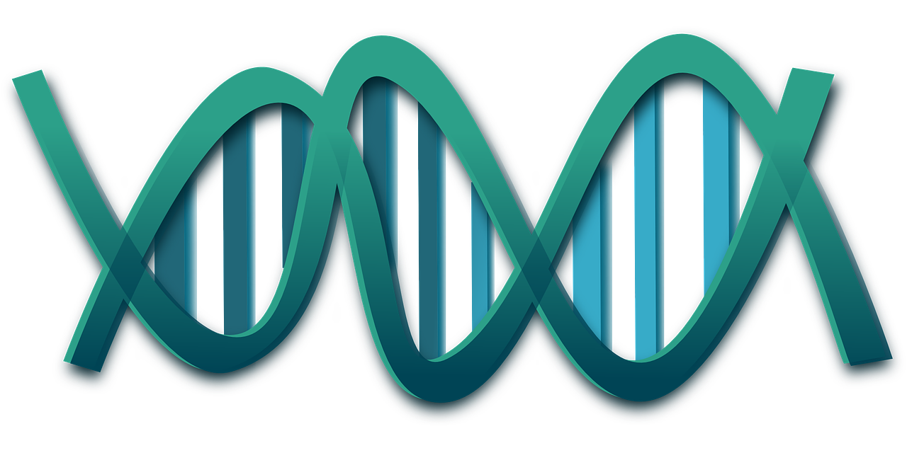 RNA Targeting Small Molecule Drug Discovery Market 2024: Future Outlook And Potential Analysis