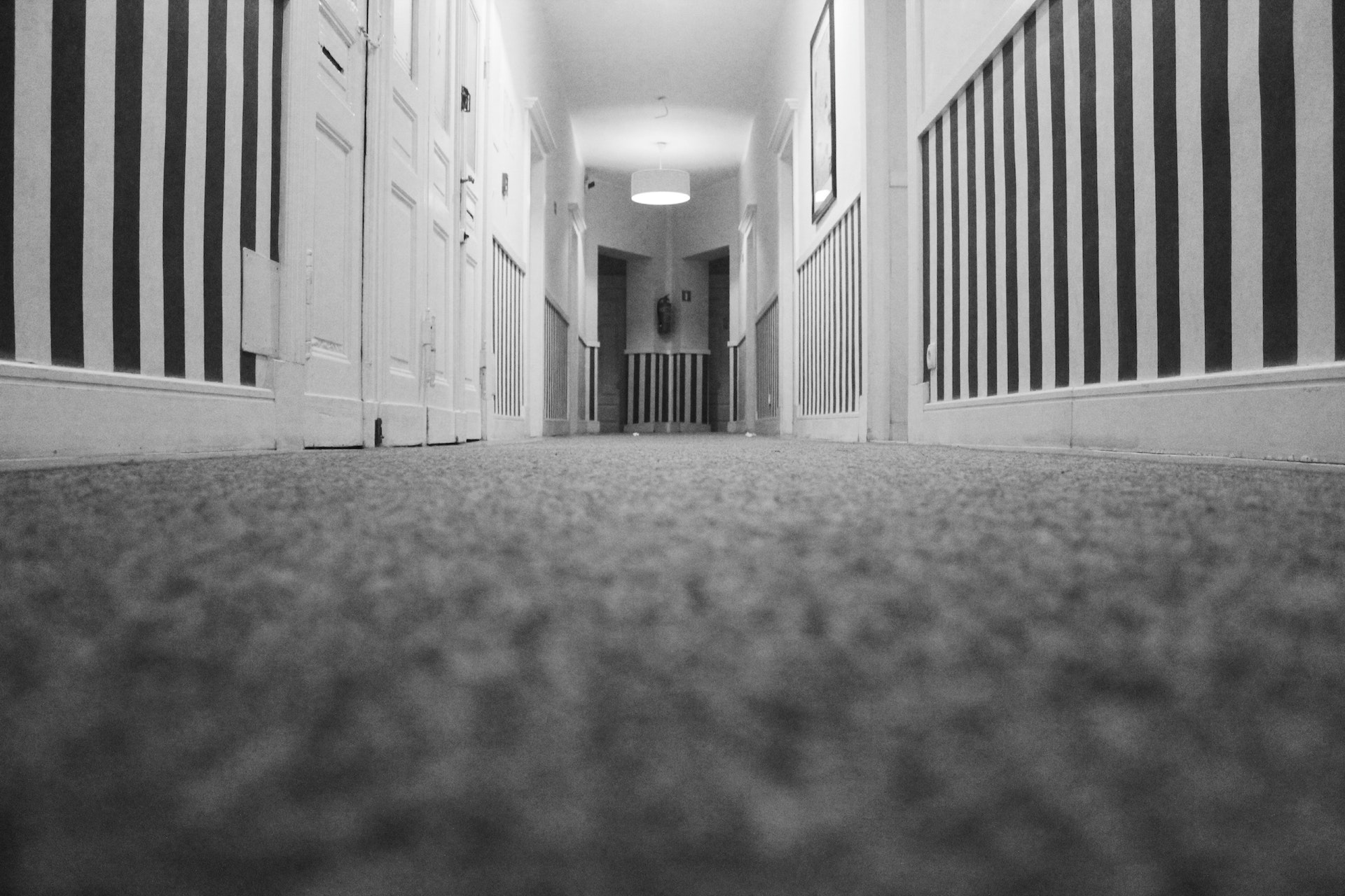 How To Choose The Right Carpet For Your Home