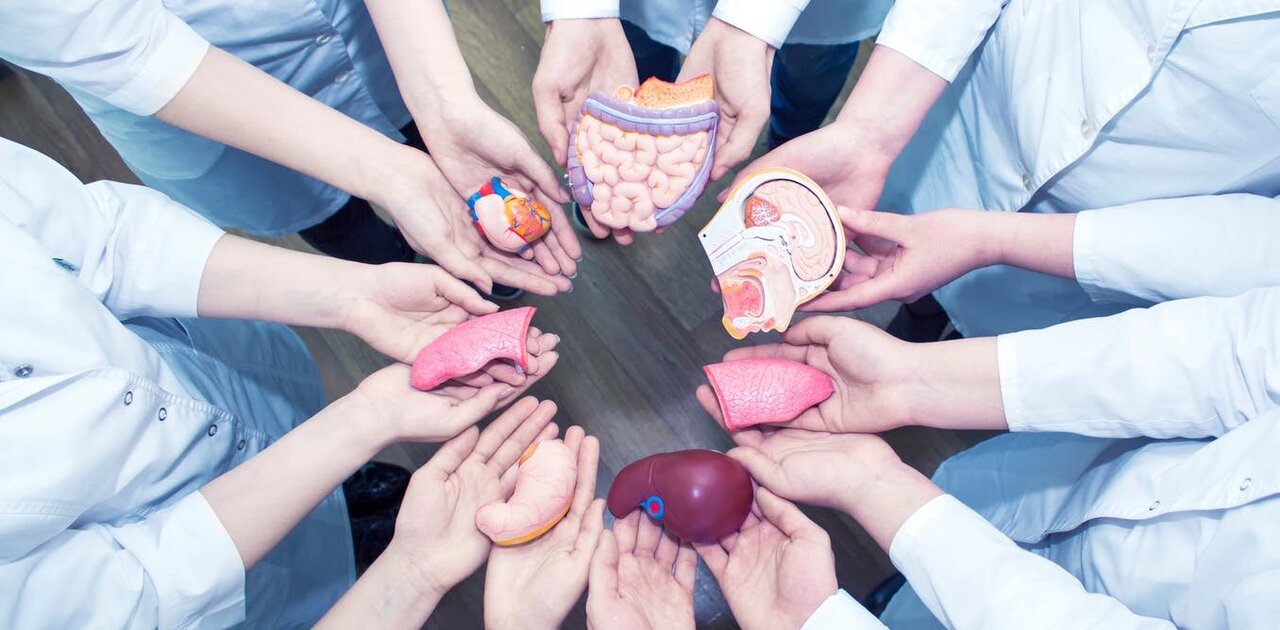 Organ Preservation Solutions: Bridging the Gap Between Organ Availability and Demand