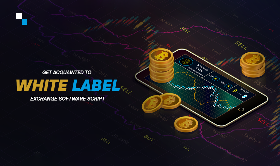 White Label Crypto Exchange Development - Your Key To Billion-Dollar Profits