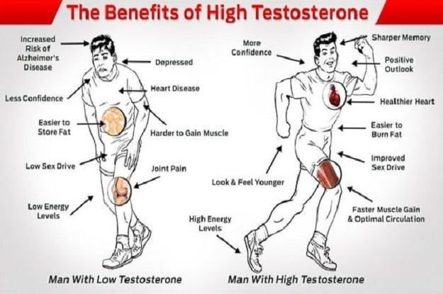 The Potential Benefits of Overly High Testosterone Levels