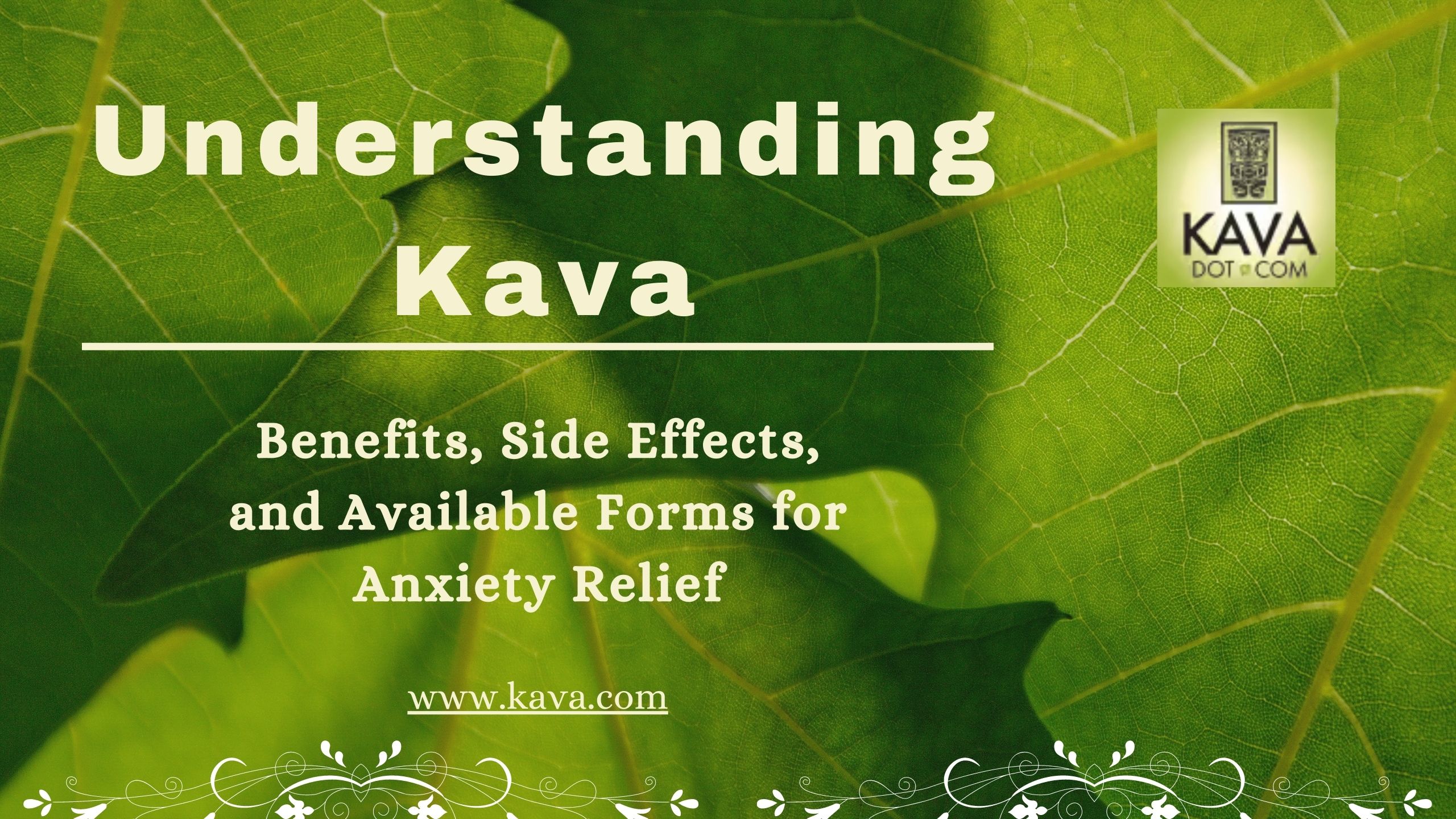 Understanding Kava: Benefits, Side Effects, and Available Forms for Anxiety Relief