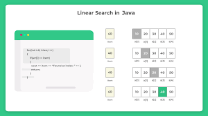 Linear Search in Java: Searching Arrays with Efficiency