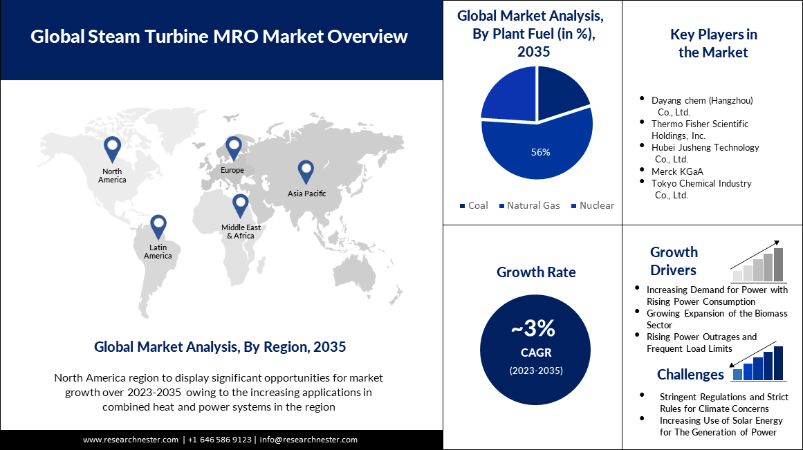 Steam Turbine MRO Market Size, Share, Trend, Industry Growth, Future Challenges