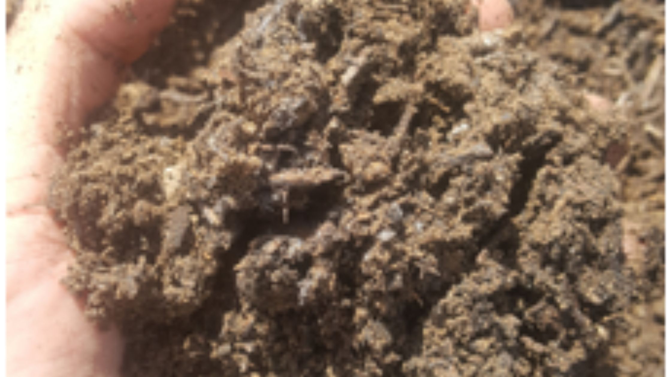 CHOOSING THE RIGHT GARDENING SOIL DELIVERY SERVICE FOR YOUR NEEDS Zupyak