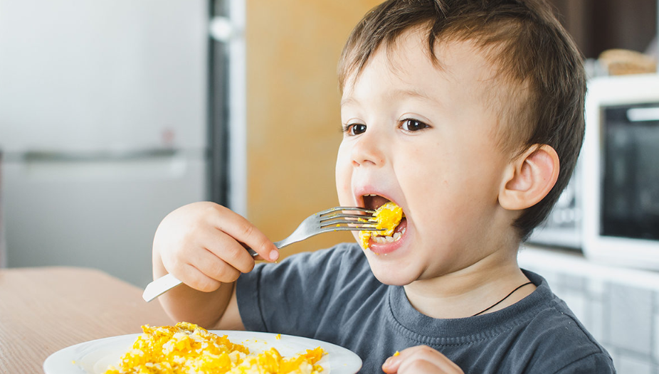 The Global Organic Baby Food Market: Trends, Insights, and Growth