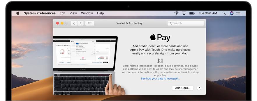 How to Set up Apple Pay on the Apple Devices?