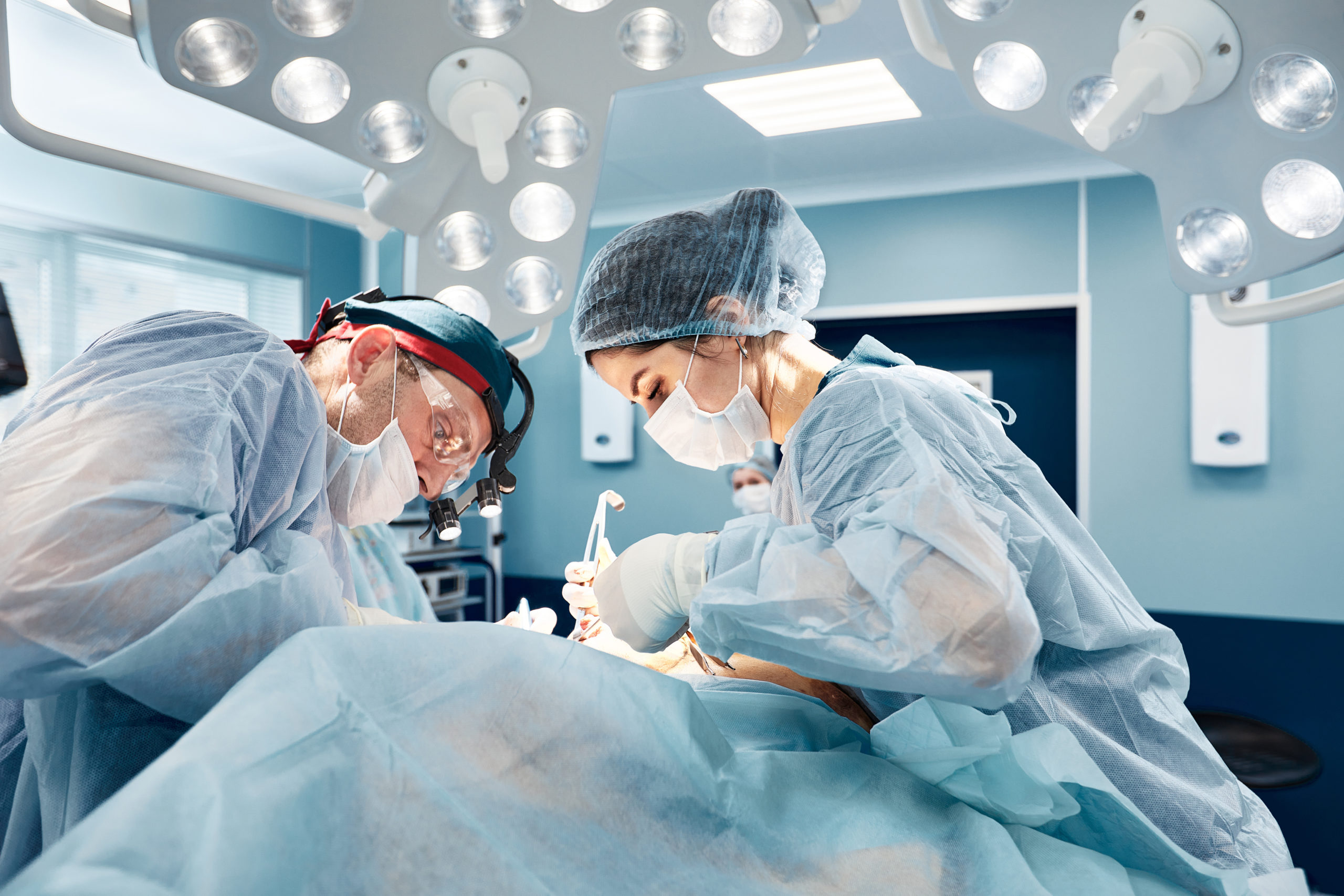 Market Dynamics of Scalp Clip Systems: Analyzing Current Size, Share, Growth Trends