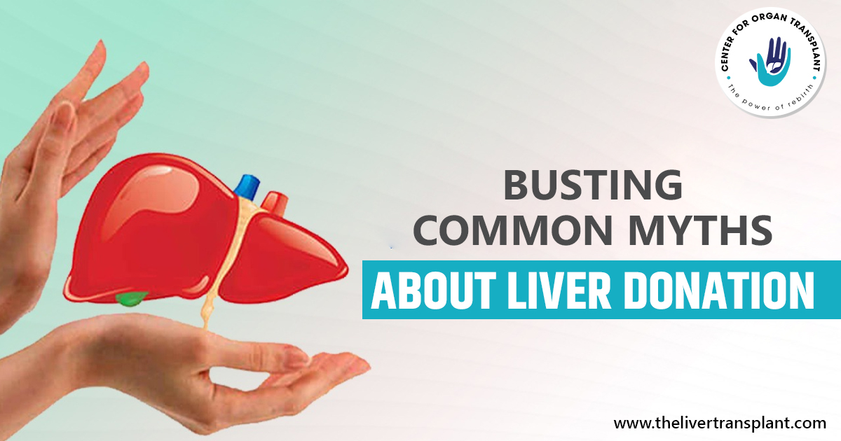 Busting Common Myths About Liver Donation