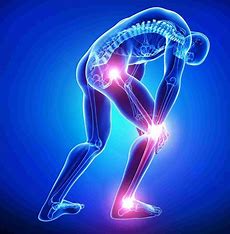best acl surgeon in punjab