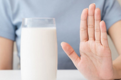 Lactose Intolerance Market Size, Trends, and Growth Forecast 2025-2032