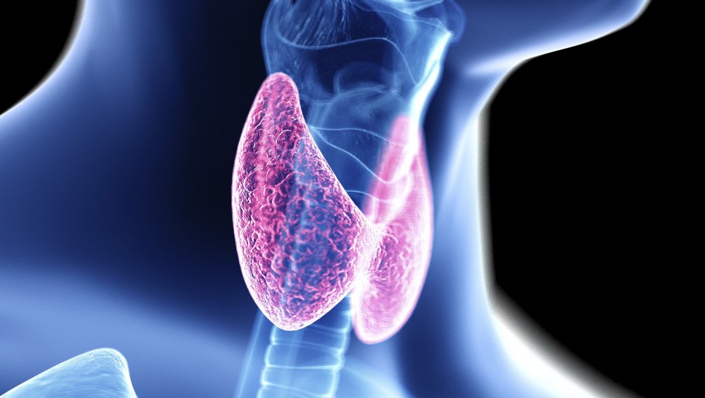 Global Hashimoto’s Thyroiditis Drug Market: Exploring Trends and Strategic Insights