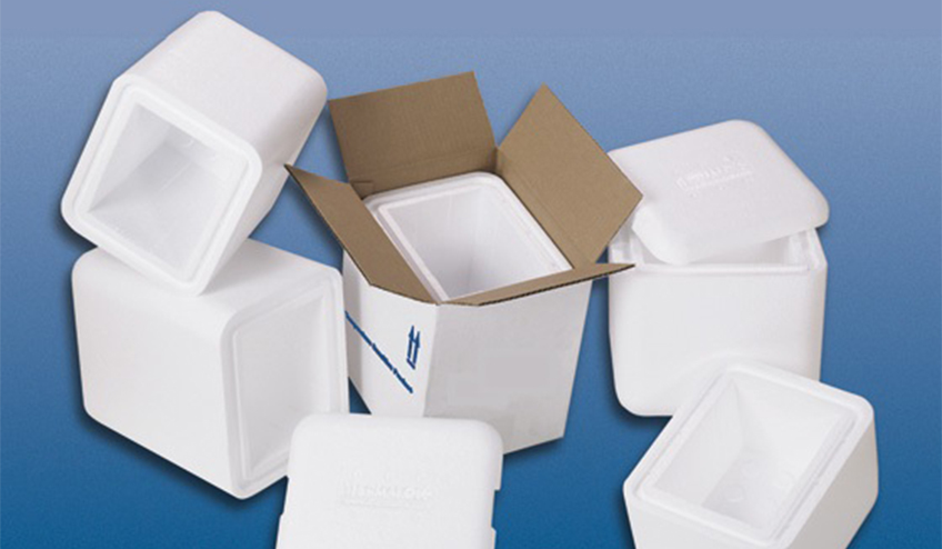 Ensuring Quality and Safety: The Importance of Cold Chain Packaging 