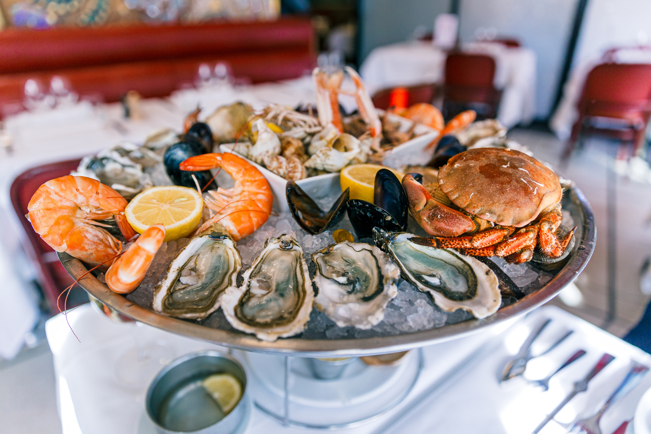 The Most Delicious Seafood Dining Experience in Sydney