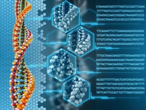 Human Recombinant DNA Market Size, In-depth Analysis Report and Global Forecast to 2032