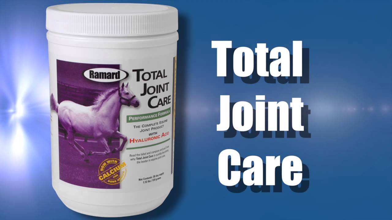 Why Total Joint Care Performance Horse Supplements Are Important 