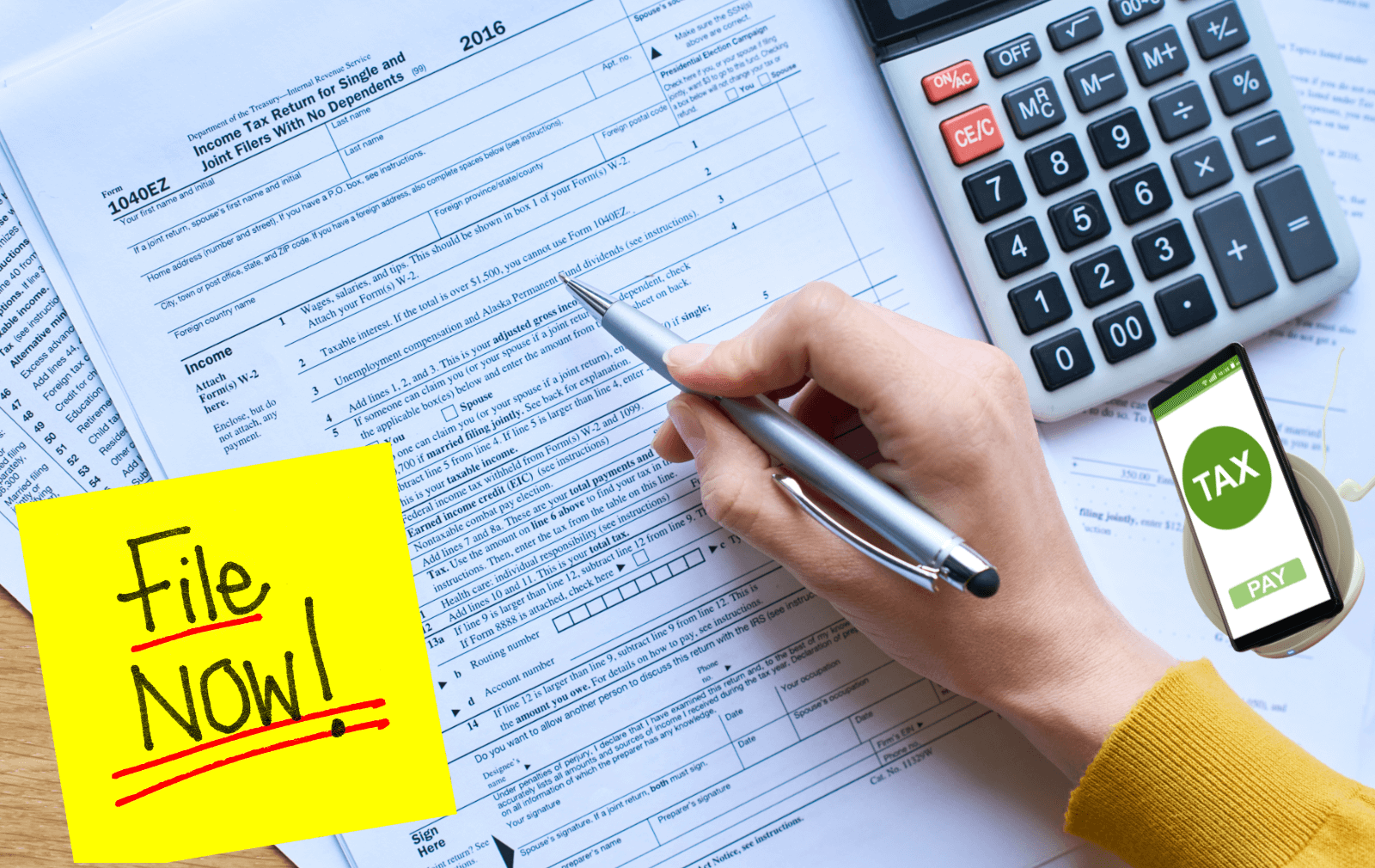 Looking for Accountants Near You for Taxes and Business Tax Preparation in Houston, TX?
