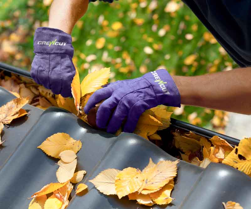 Expert Advice on Maintaining Clean and Functional Gutters in Maidstone, Australia