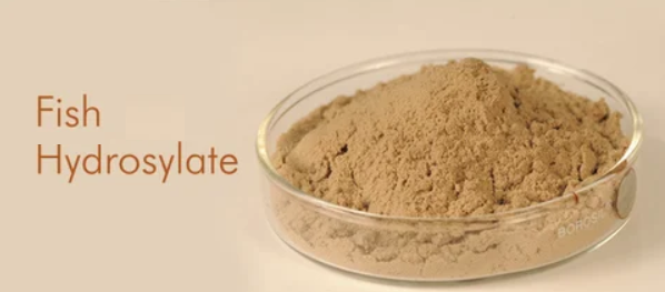 Global Fish Hydrolysate Market 2022: COVID-19 Impact Analysis and Industry Forecast Report, 2030