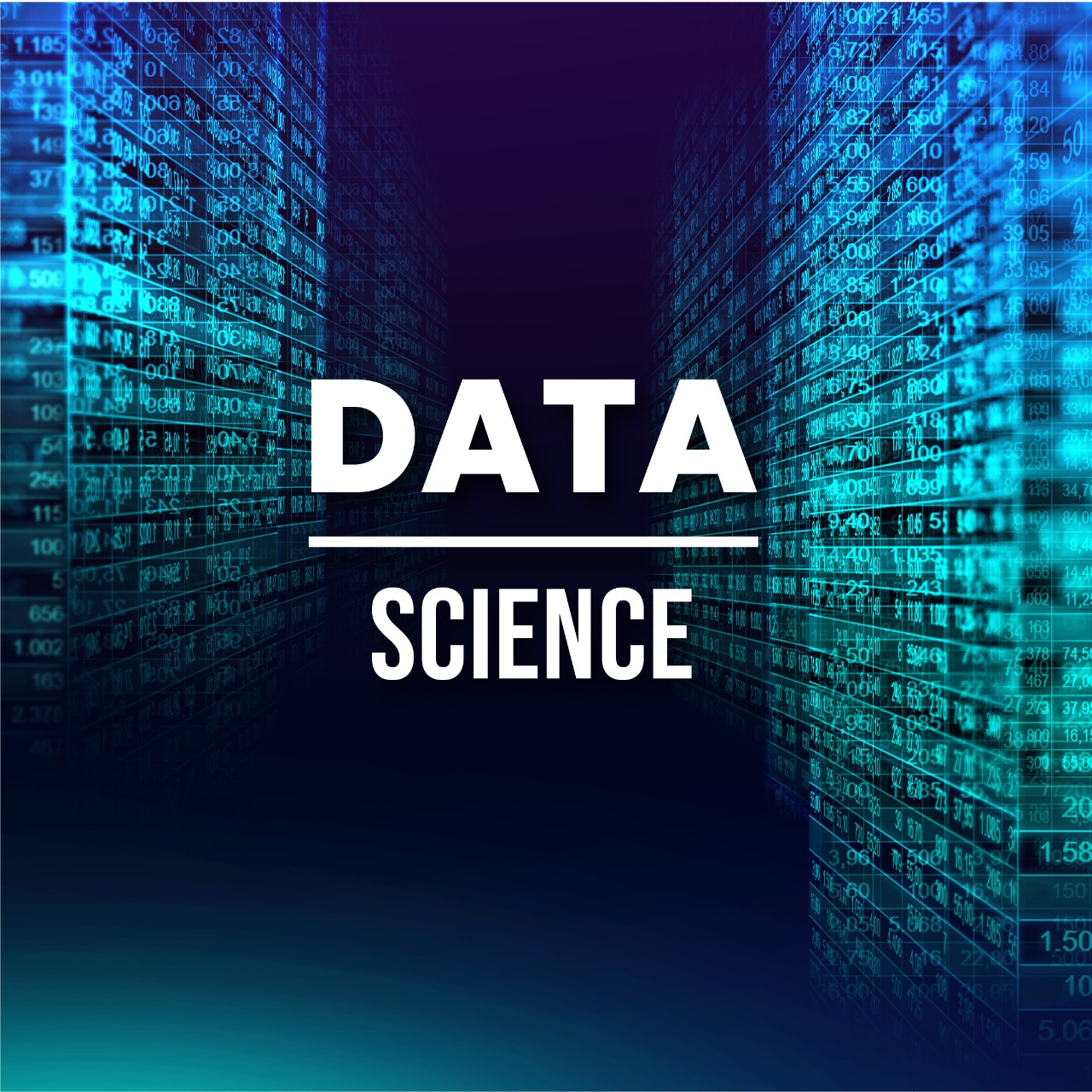 Mastering Data Science Essentials: Your Path to Success