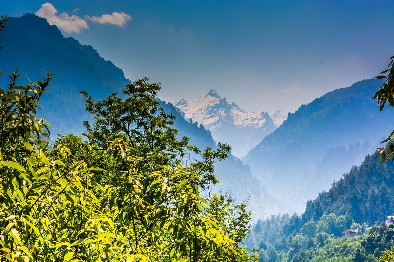Homestay Haven: Making a Difference in Travel