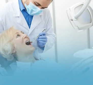 Can Chickens Go To The Dentist Avian Dental Care In Edgeworth Explained