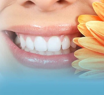 Best Dentist Newcastle For Families Kid Friendly And Parent Approved Clinics