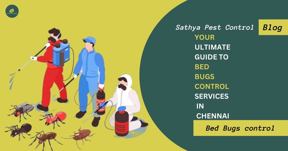 Your Essential Guide to Bed Bug Control in Chennai