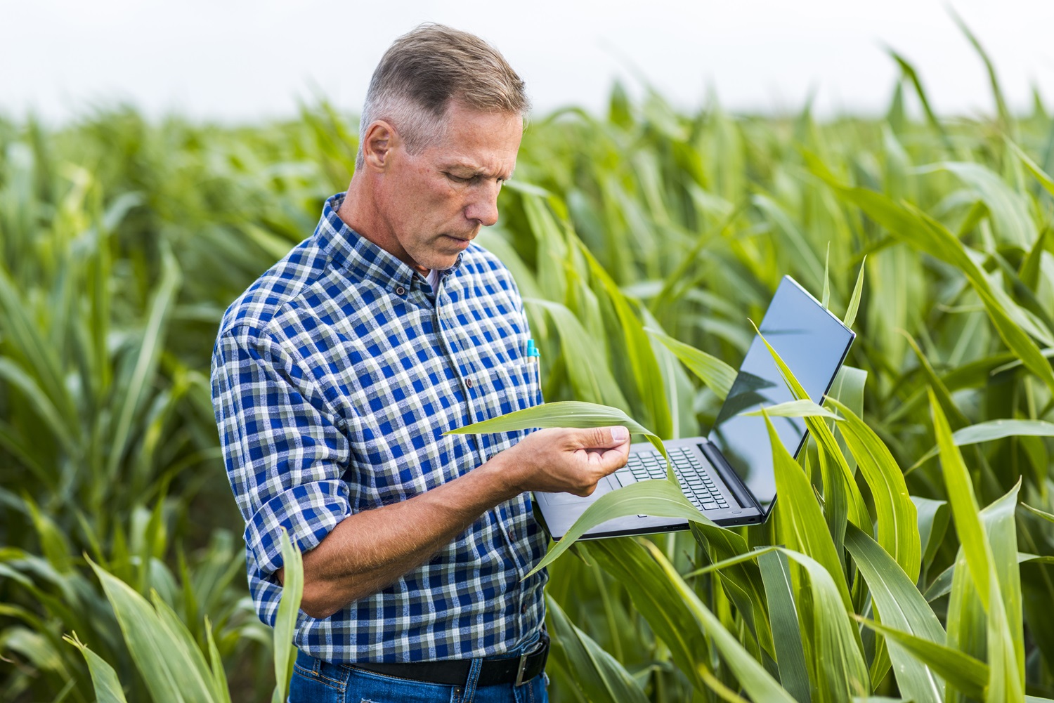Recent Evolution of Farm Management Software and Data Analytics Market