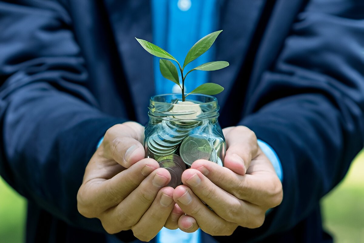 The Ultimate Guide to Money Saving Schemes: What You Need to Know