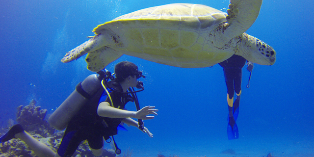 Scuba Diving at Grand Island Goa | Top Reviews| Best Rates | Scuba Packages