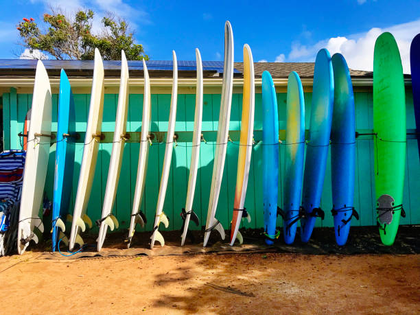 Paddle Board Rental in Fort Lauderdale: Your Ultimate Guide to Paddle Boarding in Fort Lauderdale