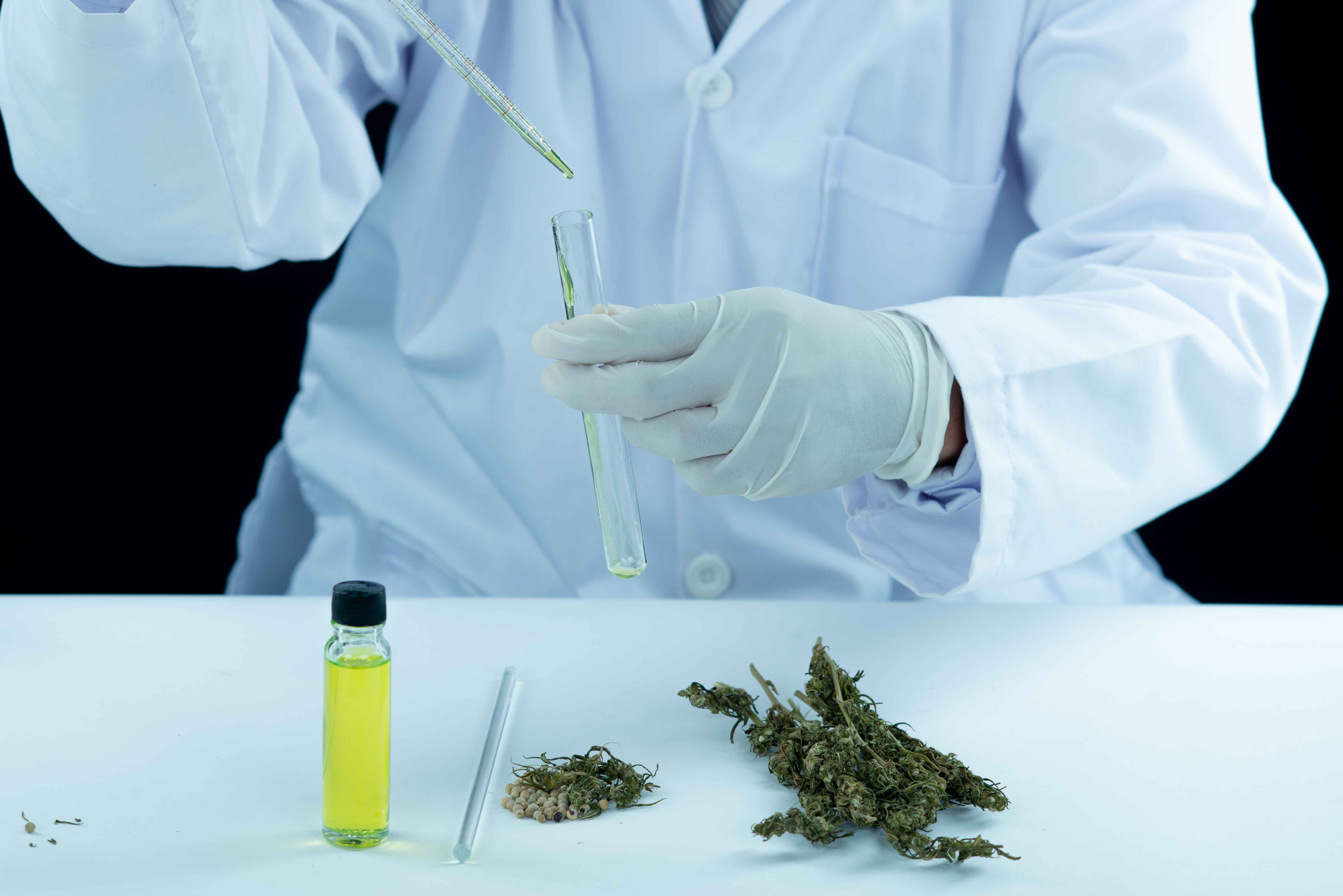 Why Mobile Drug Testing Is a Game Changer for Your Business