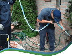 Cracked Sewer Pipes: Signs, Causes, And Effective Repair Solutions