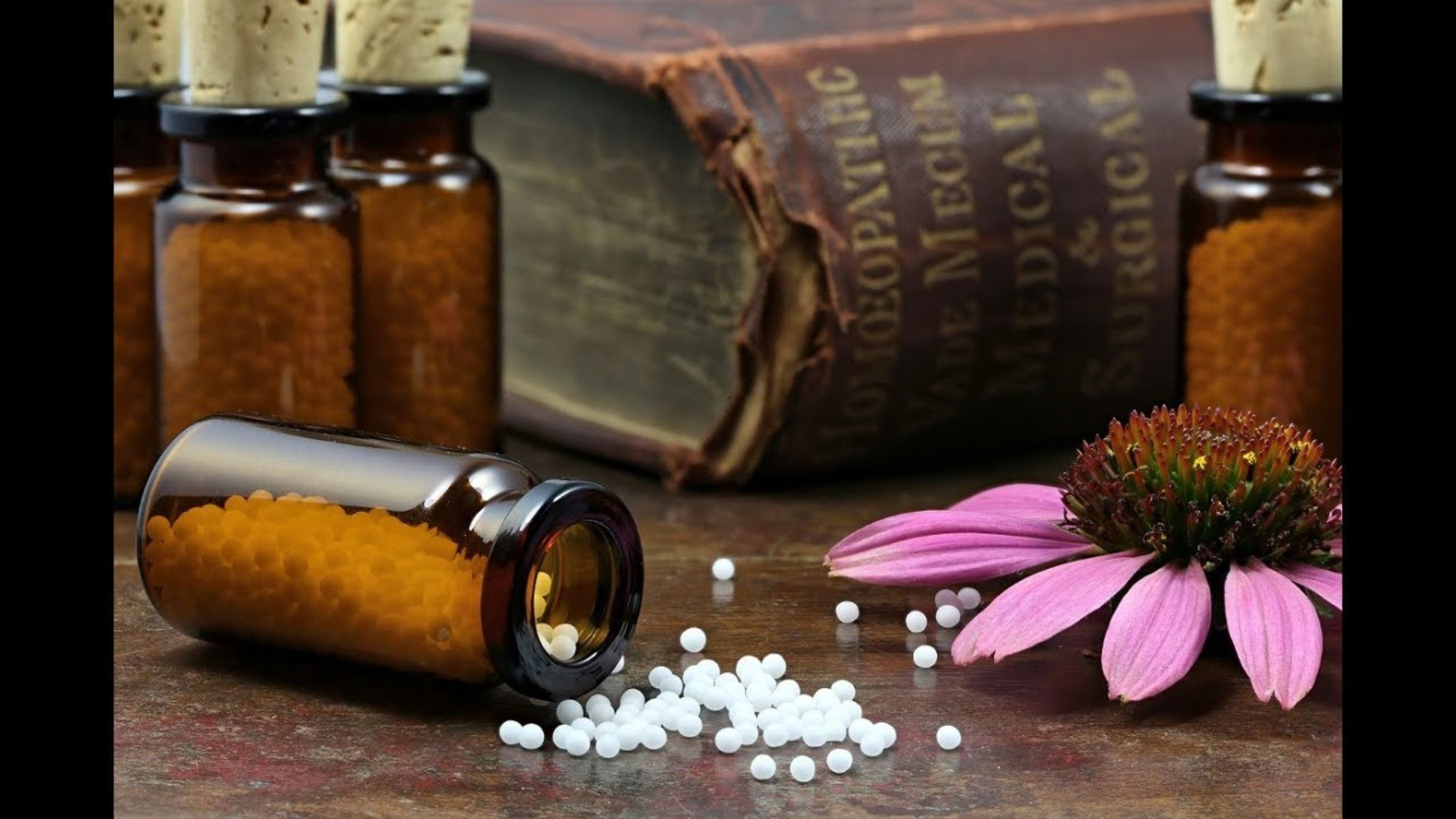 How Homeopathic Treatment for Anxiety Supports Natural Healing?