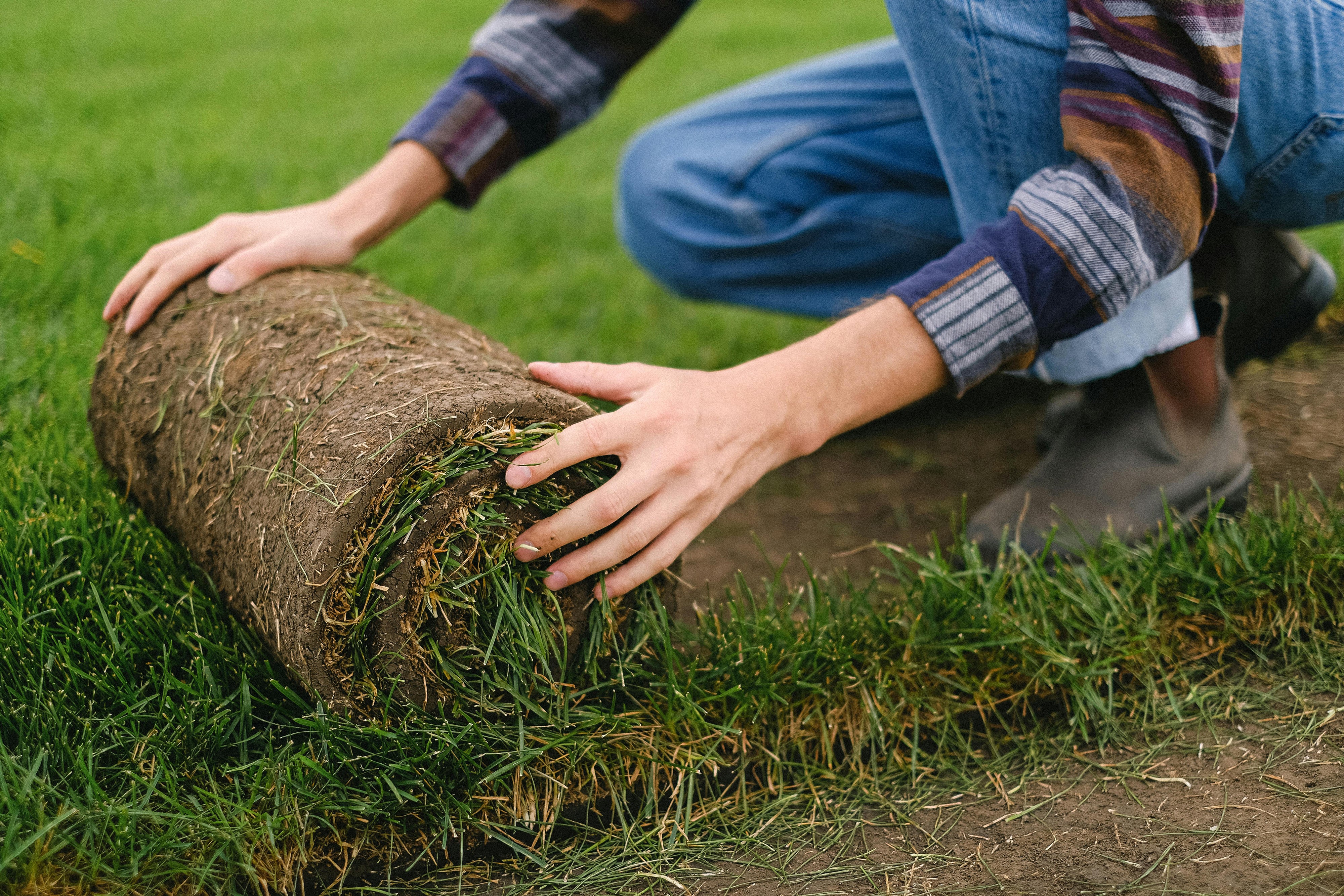 Rivendell Distribution Landscape Supply: Your Ultimate Landscaping Resource