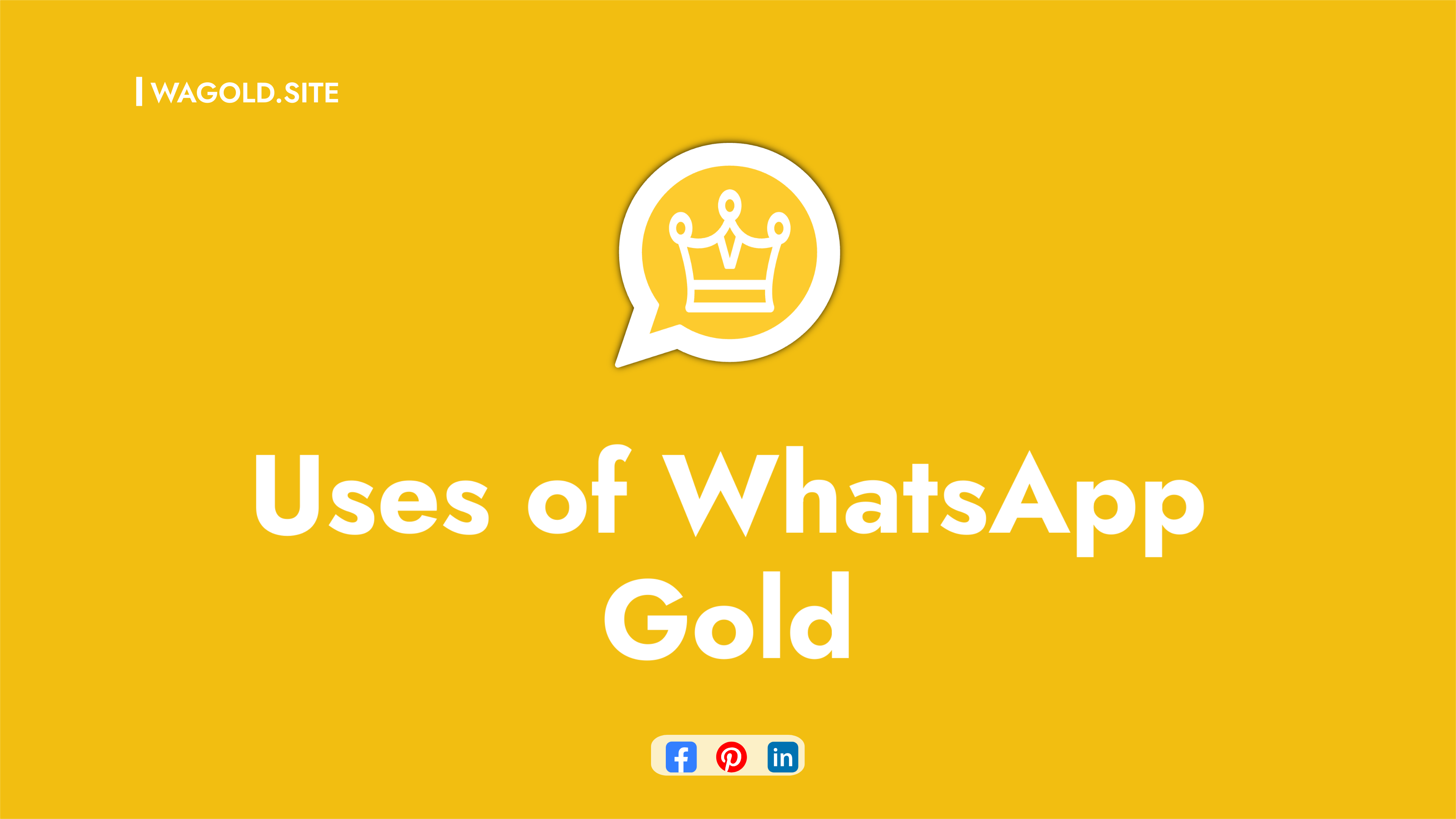 Hidden Features of Gold WhatsApp
