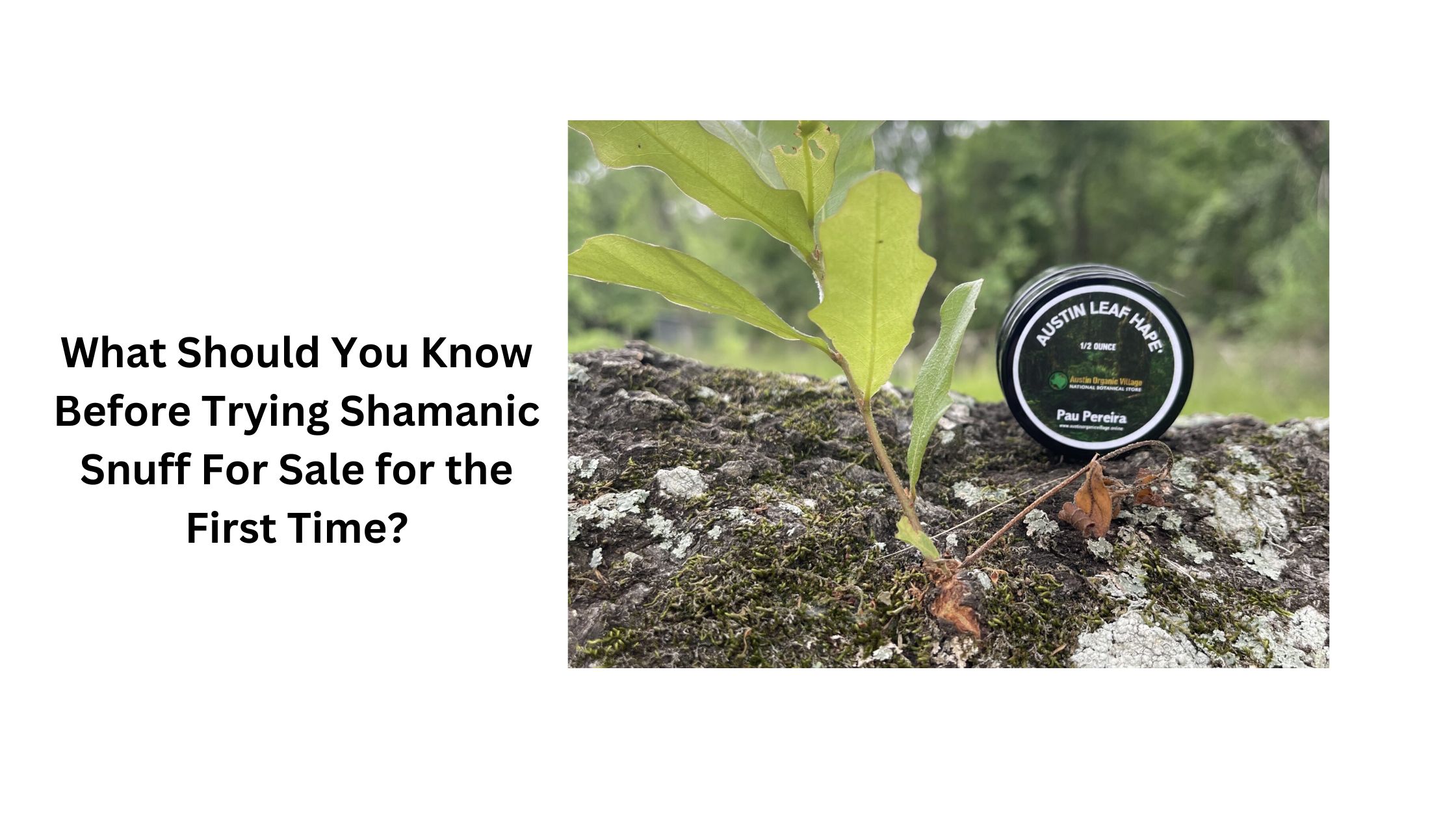 What Should You Know Before Trying Shamanic Snuff For Sale for the First Time?