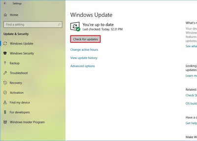 Check for updates button is missing in Windows 10