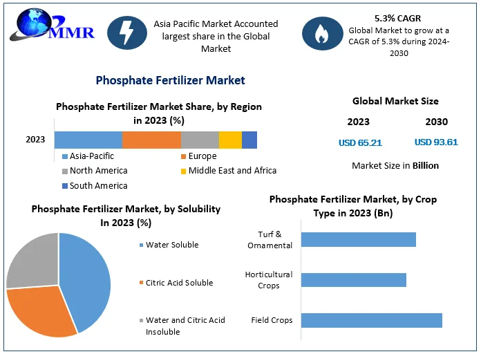 Global Phosphate Fertilizer Market Share Analysis and Revenue Outlook