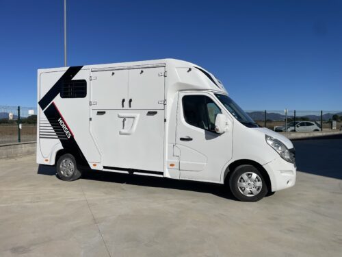 Looking for a Horse Truck? Here's What You Need to Know